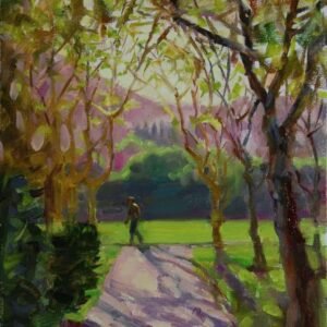 Morning Run in Osage Park